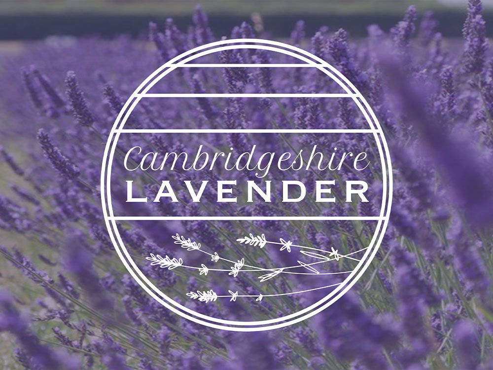 cambridgeshire-lavender-9